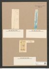 Pleurosigma var. nodiferum Grun. (de-Toni-Nr.: Genus 13, Species 1076) Zeichnungen Sammlung Grunow Nr. 1974 (NHMW-BOT-W0369119)